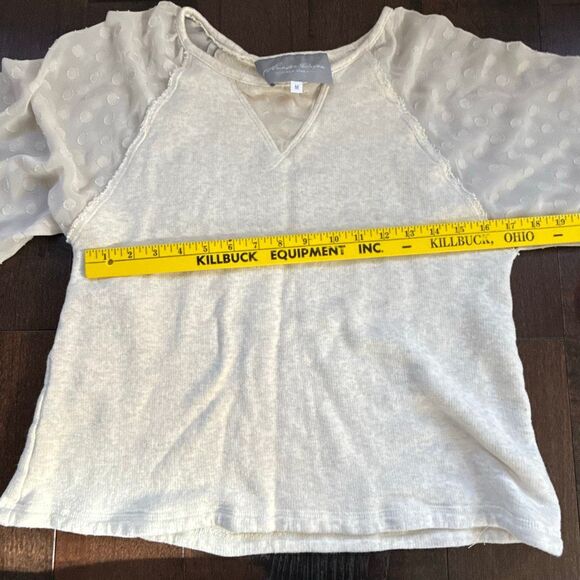 Anthropologie Hunter Dixon Swiss dot sheer sleeve blouse women’s size medium cre - Picture 7 of 8